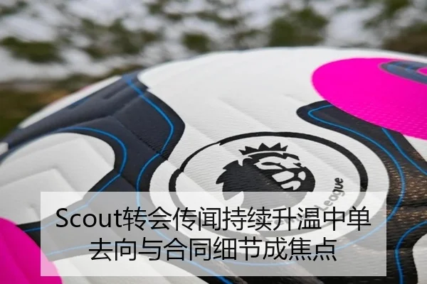 Scout转会传闻持续升温中单去向与合同细节成焦点